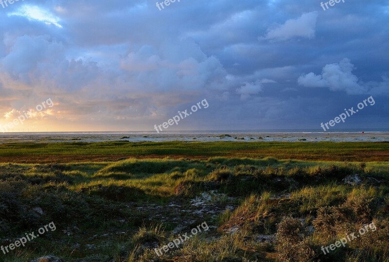 Mood Beach Coast Lighting Landscape