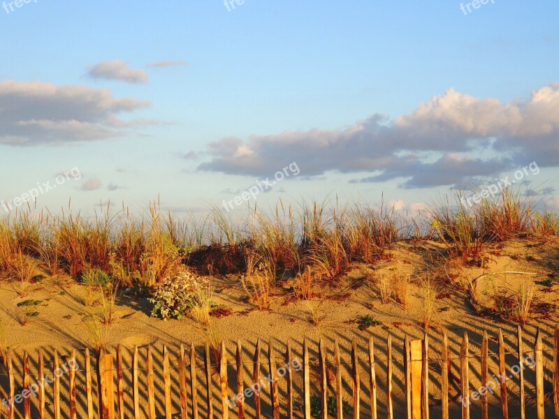 Dune Beach Sand Atlantic Coast Free Photos