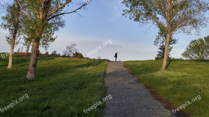 Walk Dog Park Path Man