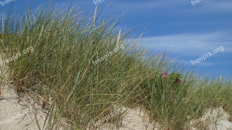 North Sea Sylt Beach Dunes Sand