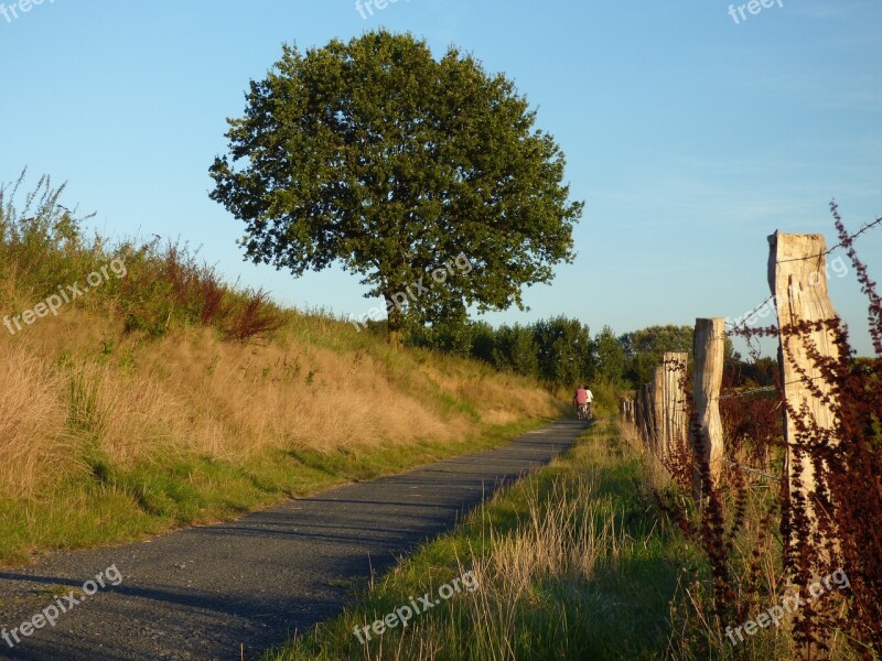 Away Tree Fence Cyclists Evening