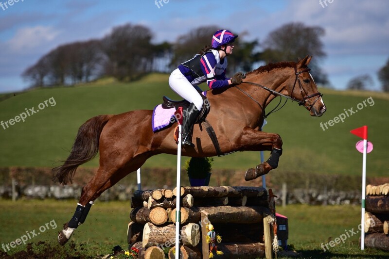 Jumping Horse Jockey Riding Equestrian Jump