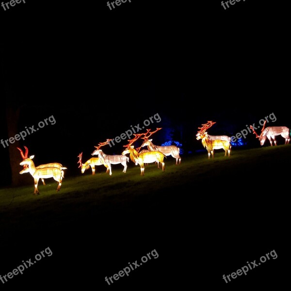 Reindeer Lantern Night Decoration Light