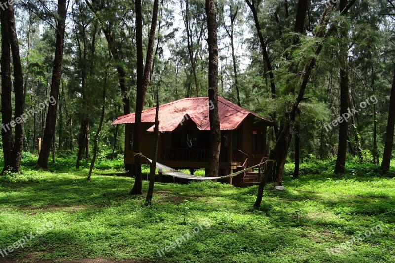 Cottage Holday Home Hut Wooden Forest