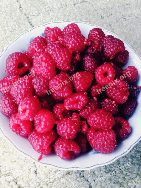 Raspberries Fruit Summer Lean Fresh