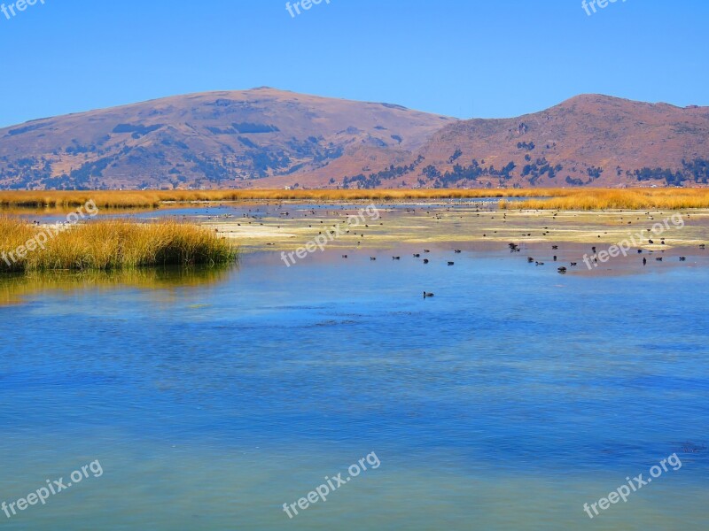 Landscape Water Peru Lake Titicaca Free Photos