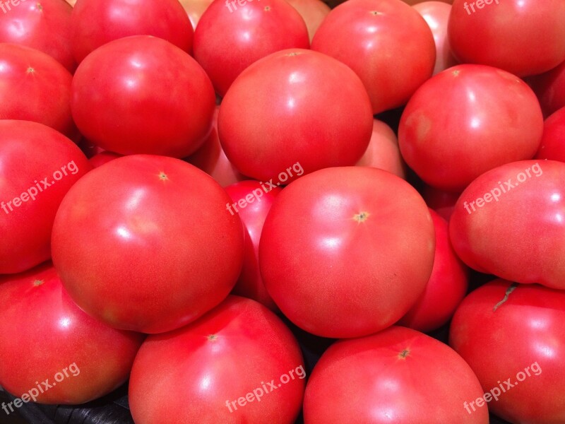 Tomato Display Red Young And Vivacious Vivid