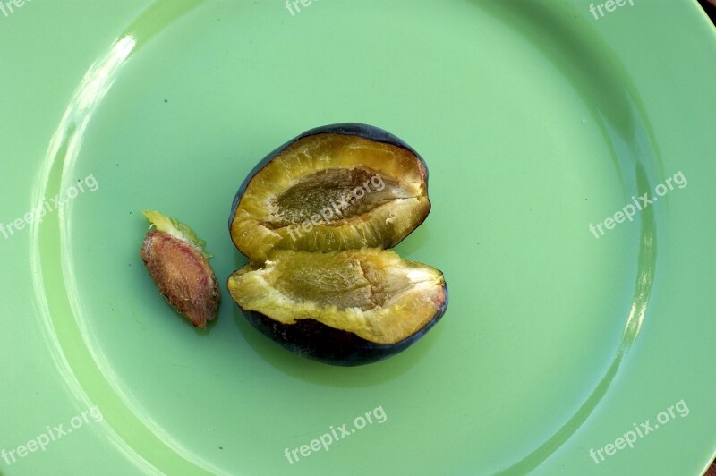 Plum Fresh Ripe Fruit Autumn Raw