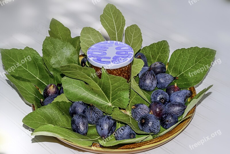 Figs Fig Leaves Compote Fruit False Fruit