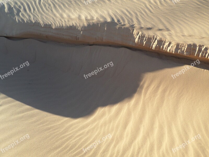 Sahara Algeria Dunes Desert Sand Dunes