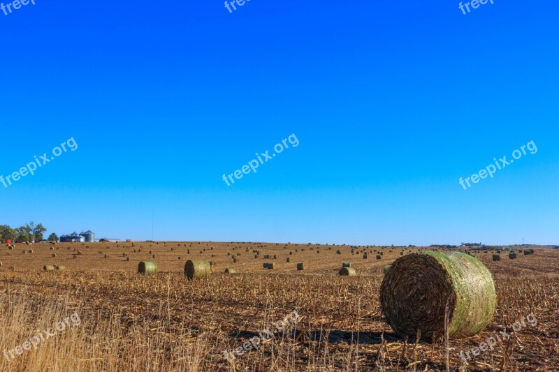 Hay Field Hay Bales Free Photos