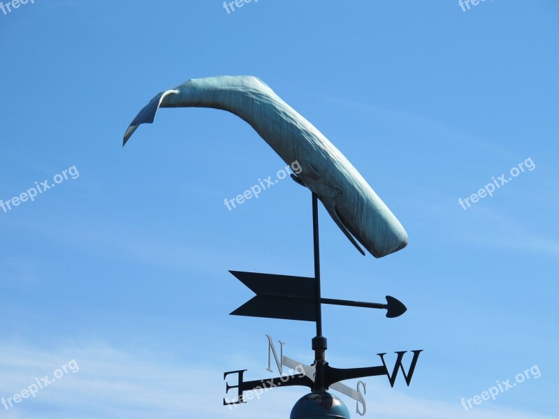 Wind Direction Indicator Wind Direction Sky Whale