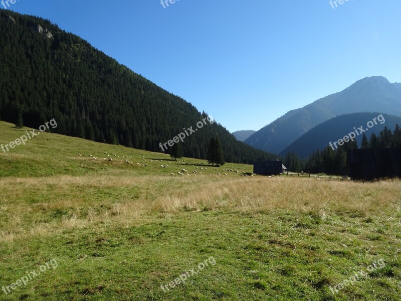 Western Tatras Mountains Chochołowska Valley The National Park Poland