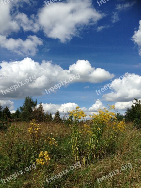 Sky Blue Clouds Nature White