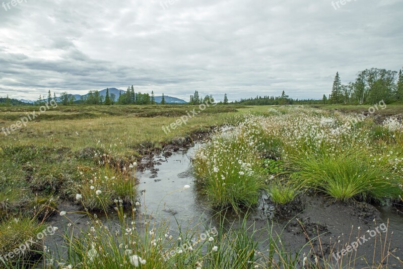 Sweden Fjäll Landscape Nature Wide