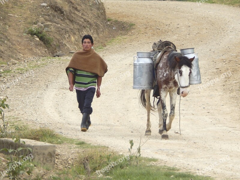 Transporte Leche Cajamarca Peru Landscape