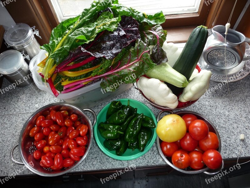 Chard Garden Vegetables Tomatoes Peppers