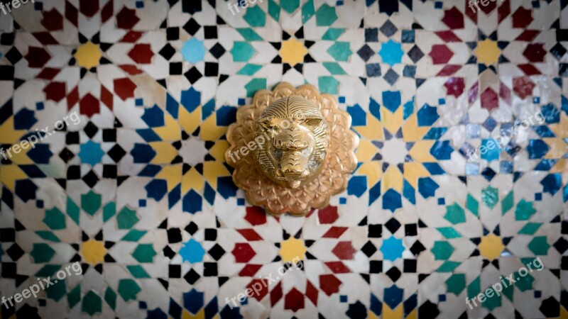 Lion Head Water Outlet Wall Fountains Wall Head Mosaic