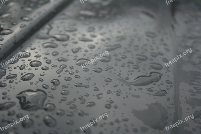 Raindrops Watery Drip Free Photos