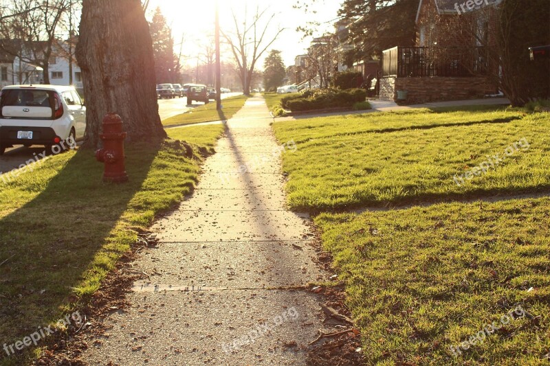 Pathway Walkway Sidewalk Landscape Nature