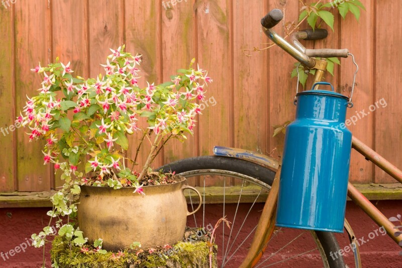 Bicycle Flowers Countryside Village Bike