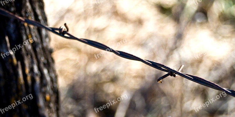 Fence Rustic Barbed Wire Metal