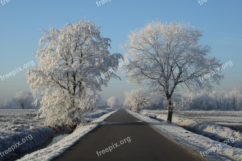 Winter Snow Freezing Winter Landscape Freeze