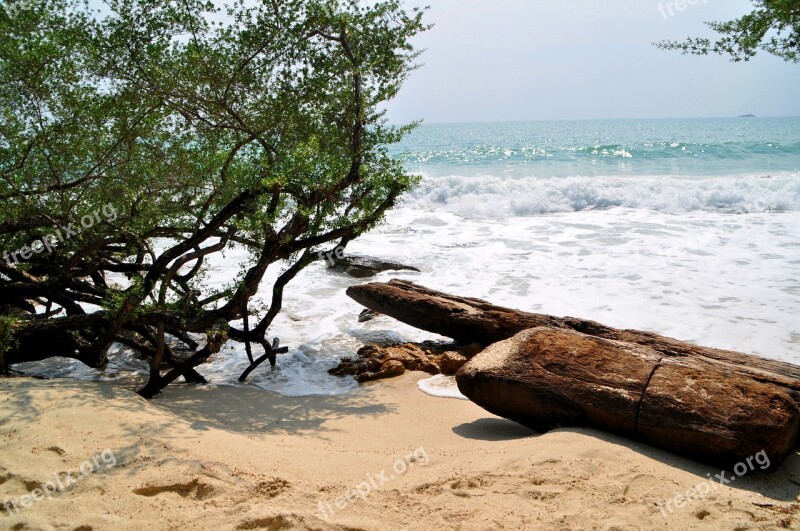 Sea Beach Drift Wood Sand Summer