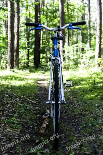 Road Bike Vintage Bike Retro Urban