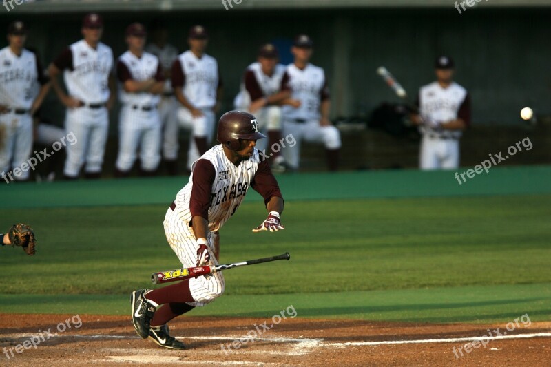 Baseball Batter Hit Bat Player