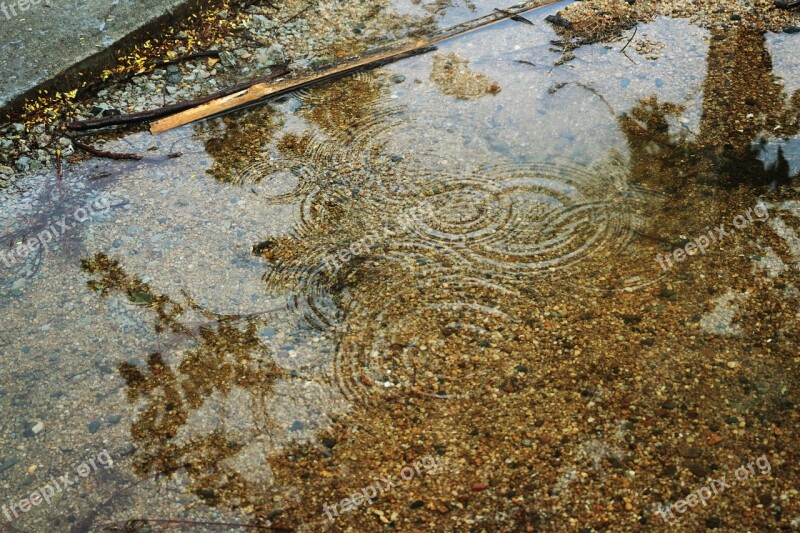 Ripple Pool Reflection Sediment Free Photos