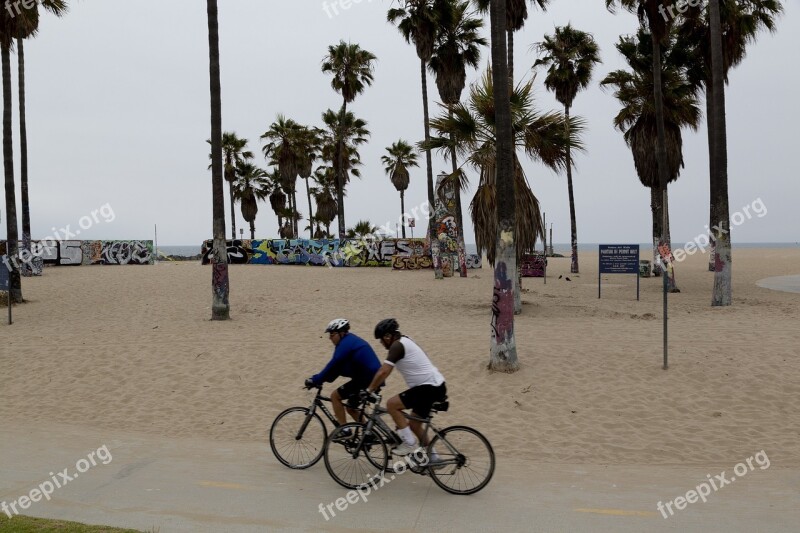 Beach Cyclists People Leisure Sea