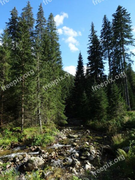 Tatry Mountains Landscape Nature Poland