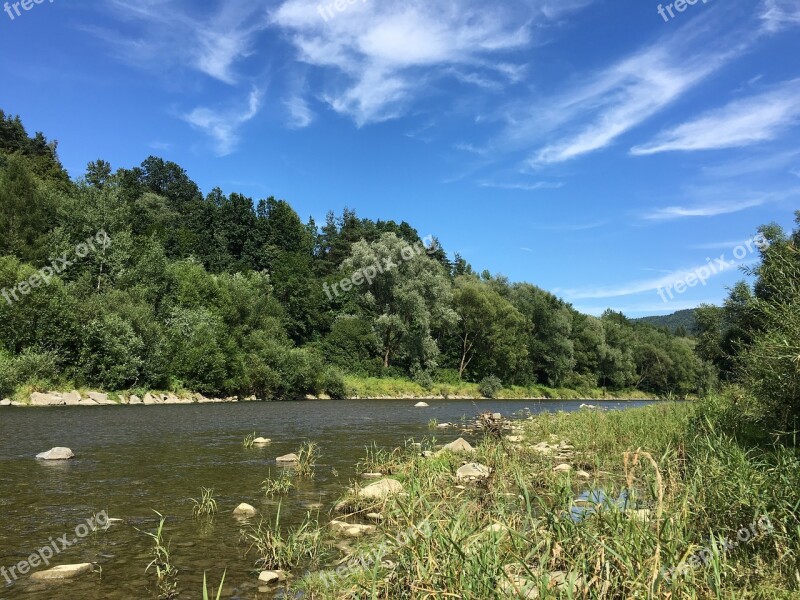 River Forest Tree Landscape Nature