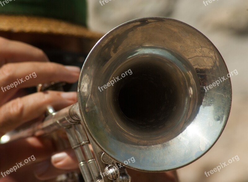 Music Musician Musical Instrument Trumpet Free Photos