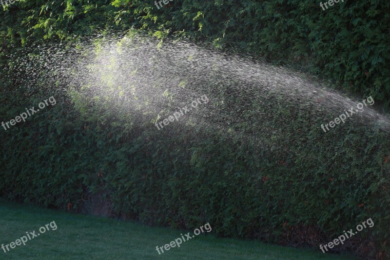 Water Garden Watering Drops Plant