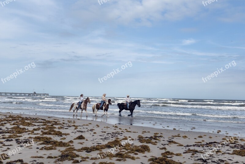 Horses Beach Riders Ocean Water