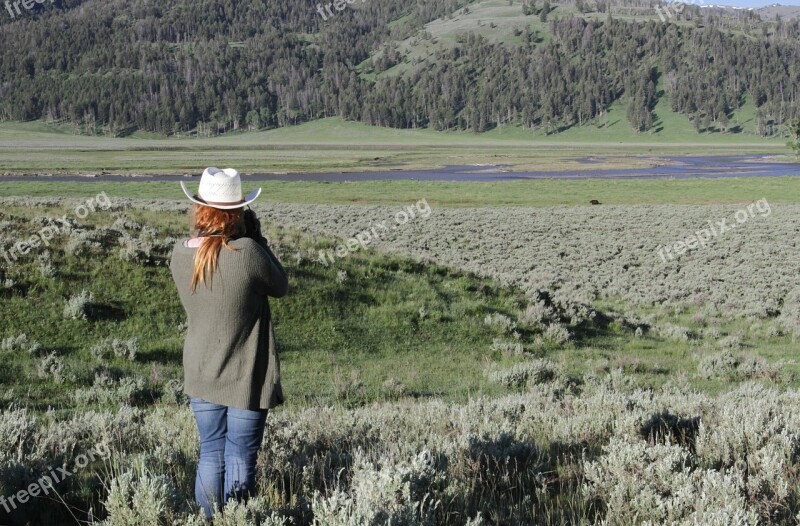 Photographing Wildlife Outdoors Yellowstone National Park Wyoming