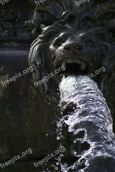 Fountain Lion Water Monument Stuttgart