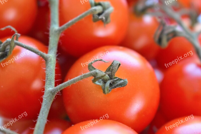 Tomatoes Vegetables Datailaufnahme Food Red