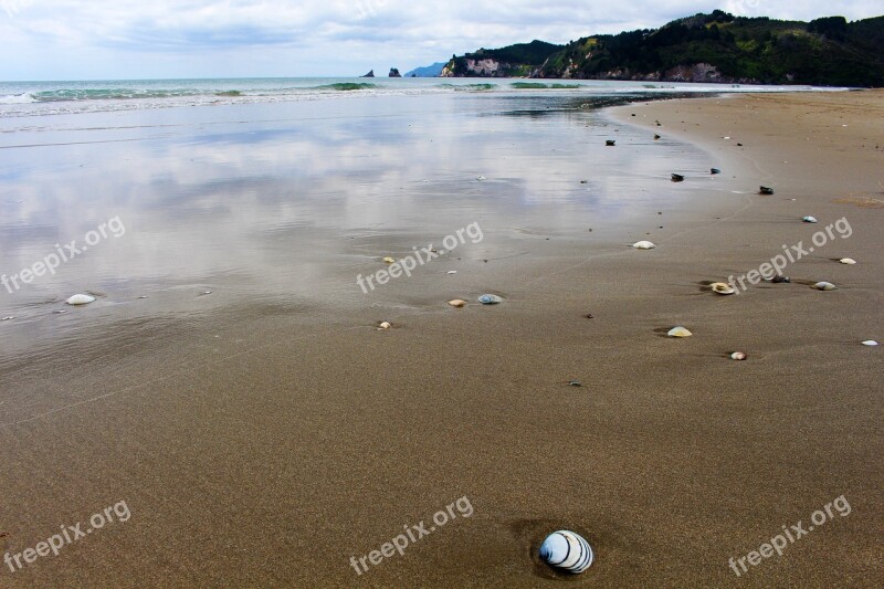 Mirroring Beach New Zealand Mussels Sea