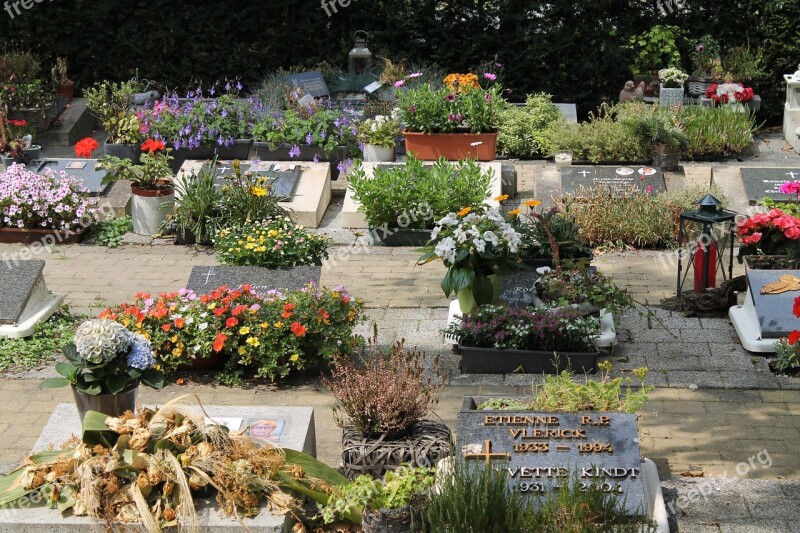 Cemetary Flowers Death Free Photos