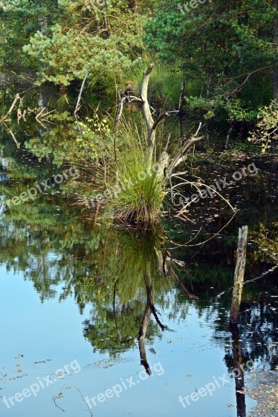 Moor Mirroring Water Pietz Moor Schneverdingen