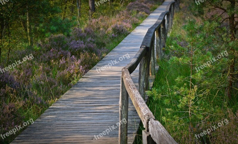 Web Away Boardwalk Railing Grass