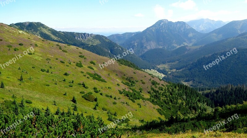 Western Tatras Mountains Landscape Chochołowska Valley Nature