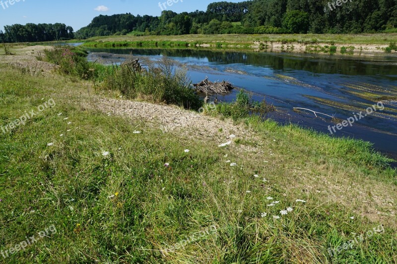 Danube River Water Riedlingen Flowers