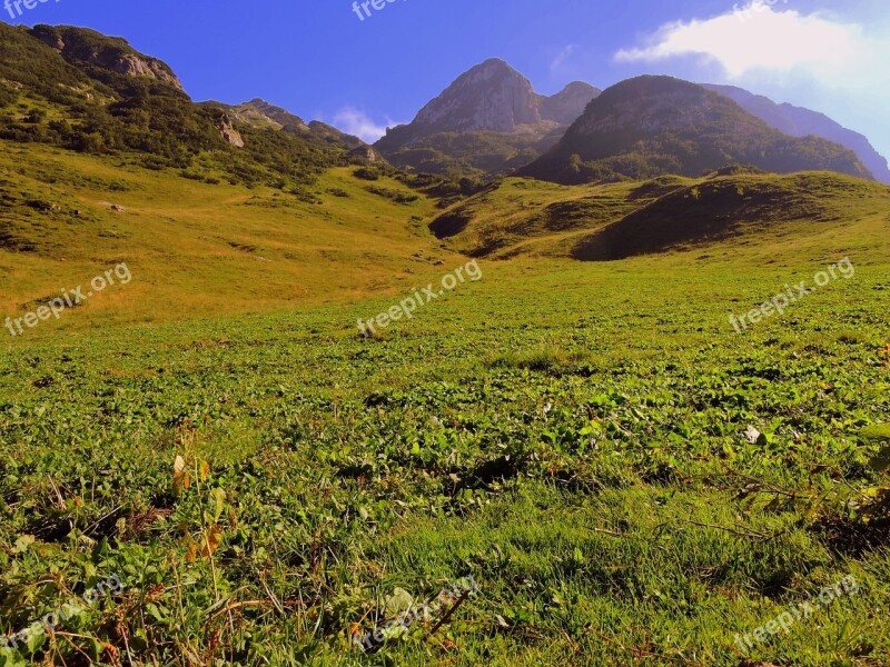 Prato Mountain Green Grass Landscape