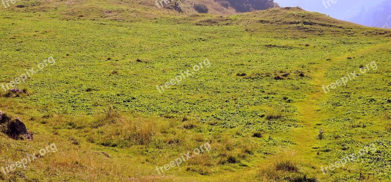 Prato Green Mountain Grass Nature