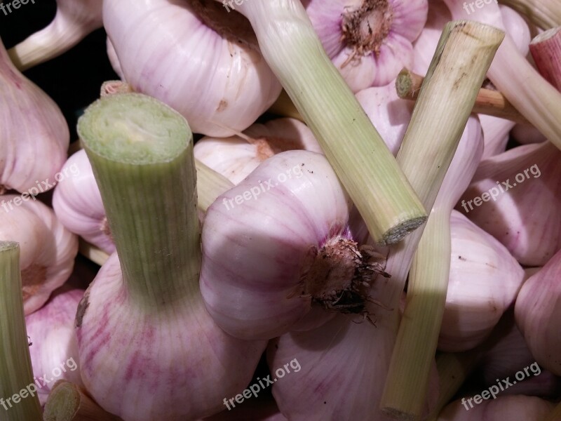 Garlic Tuber Fresh Spice Food