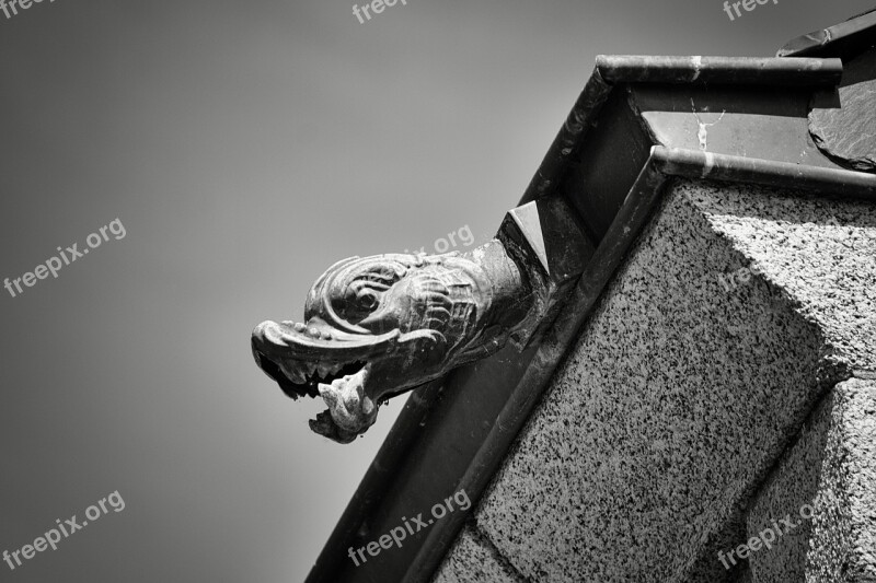 Zing Roof Sculpture Roofing Black And White